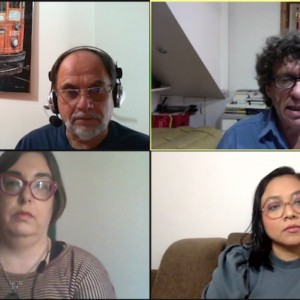 Schnappschuss einer virtuellen globalen IARJ-Diskussion