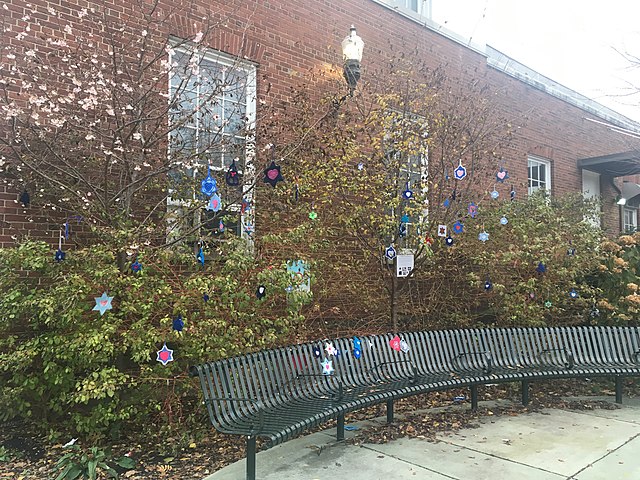 À la suite de l'assassinat de la synagogue Tree of Life, des étoiles de David crochetées ou tricotées ont été exposées dans un quartier voisin.