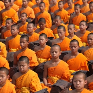 Un grand groupe de jeunes moines en train de méditer