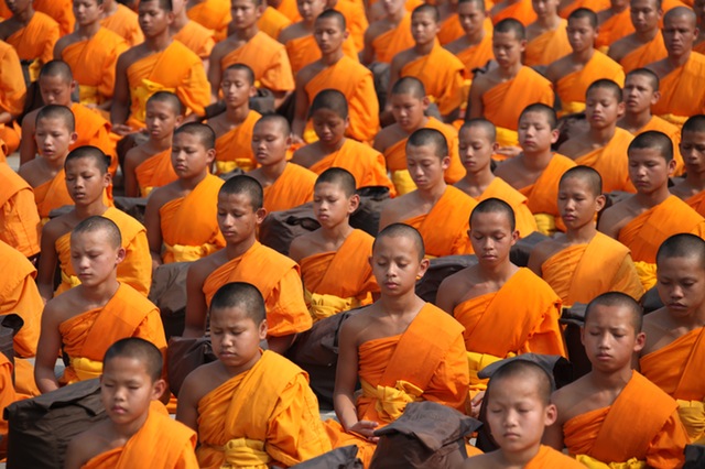 Eine große Gruppe junger Mönche beim Meditieren