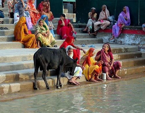 Mujeres hindúes sentadas en la escalera con una vaca